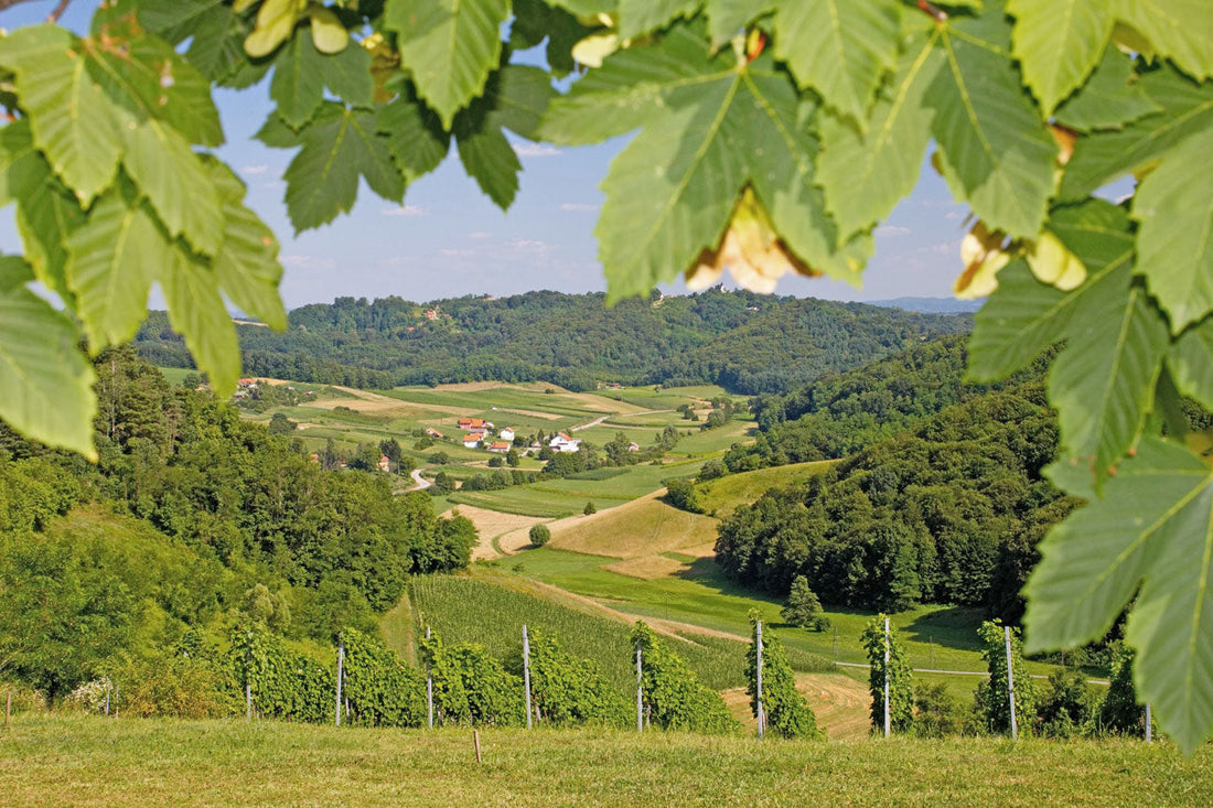 Motorradfahren in der Steiermark